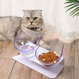 Anti Vomiting Cat Bowl